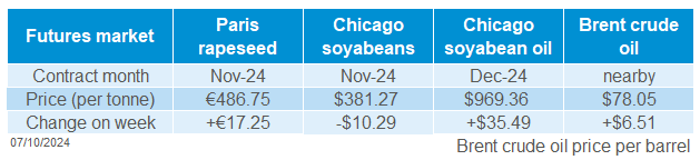 Global oilseeds 07 10 202472